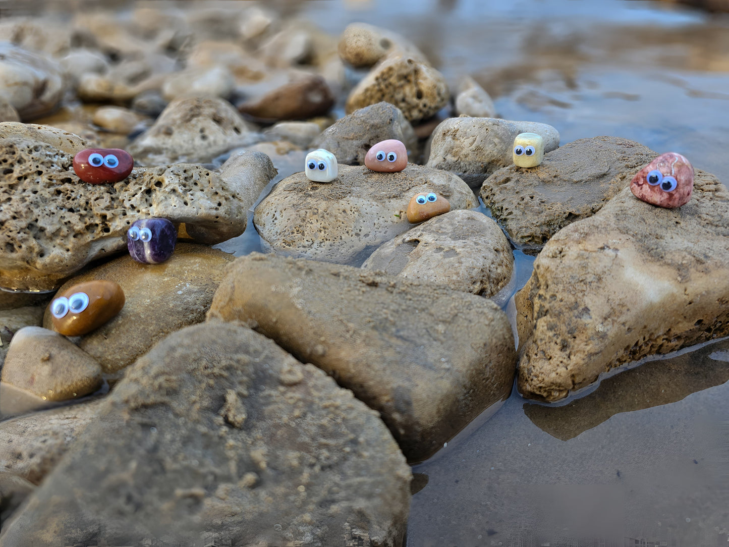 Small Pet Rock