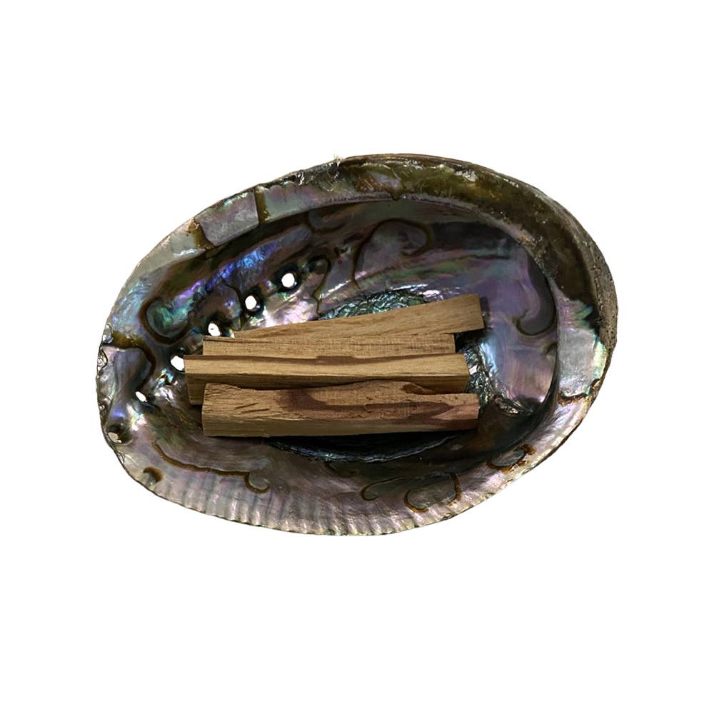 Abalone Shell - Nature's Artistry: 5-8cm