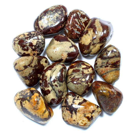 Nguni Jasper Polished Tumblestone Healing Crystals