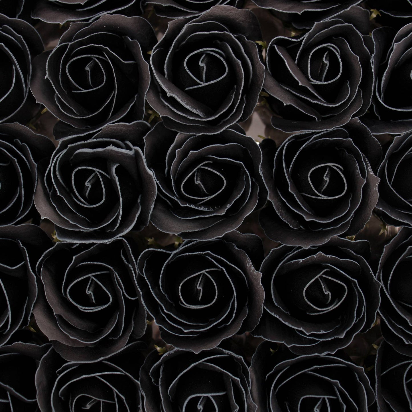 Black soap roses