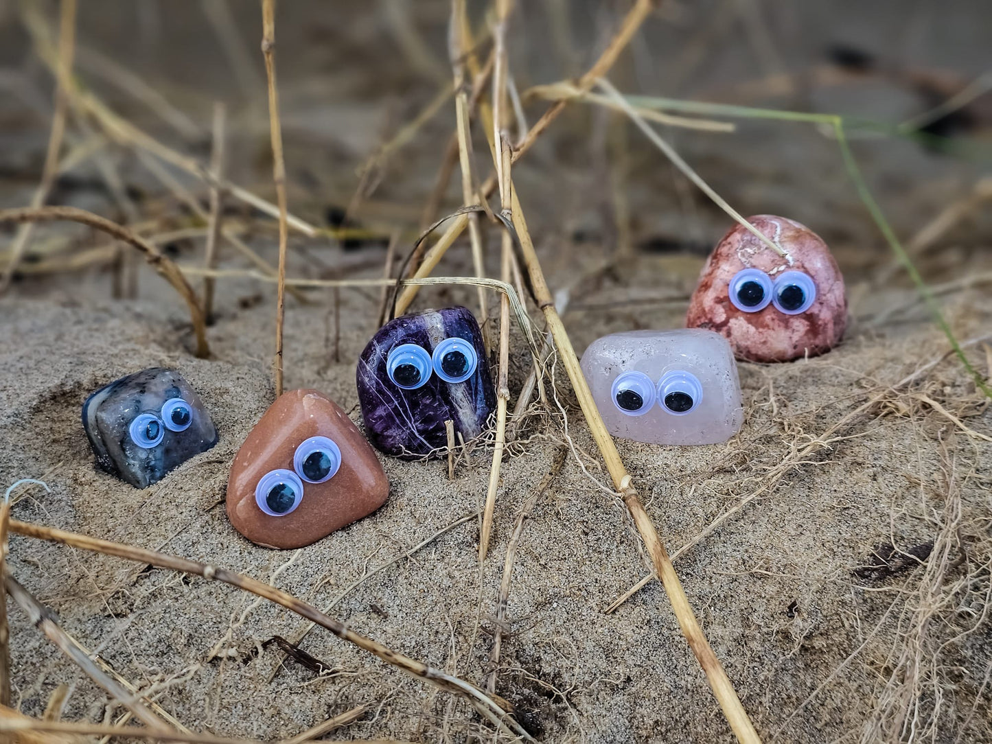 Small Pet Rock