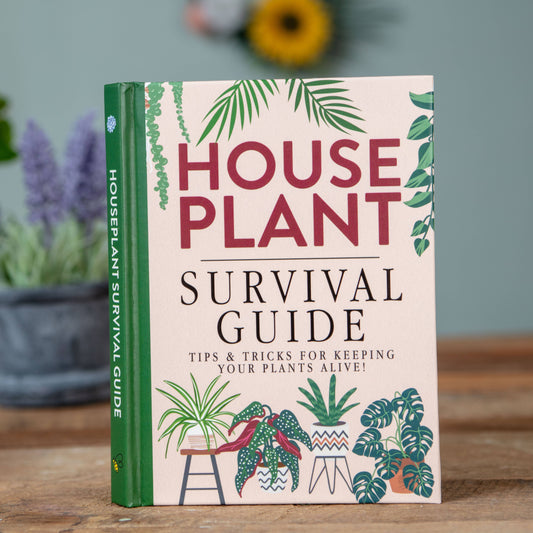 Houseplant Survival Guide - Indoor Plant Tips and Tricks