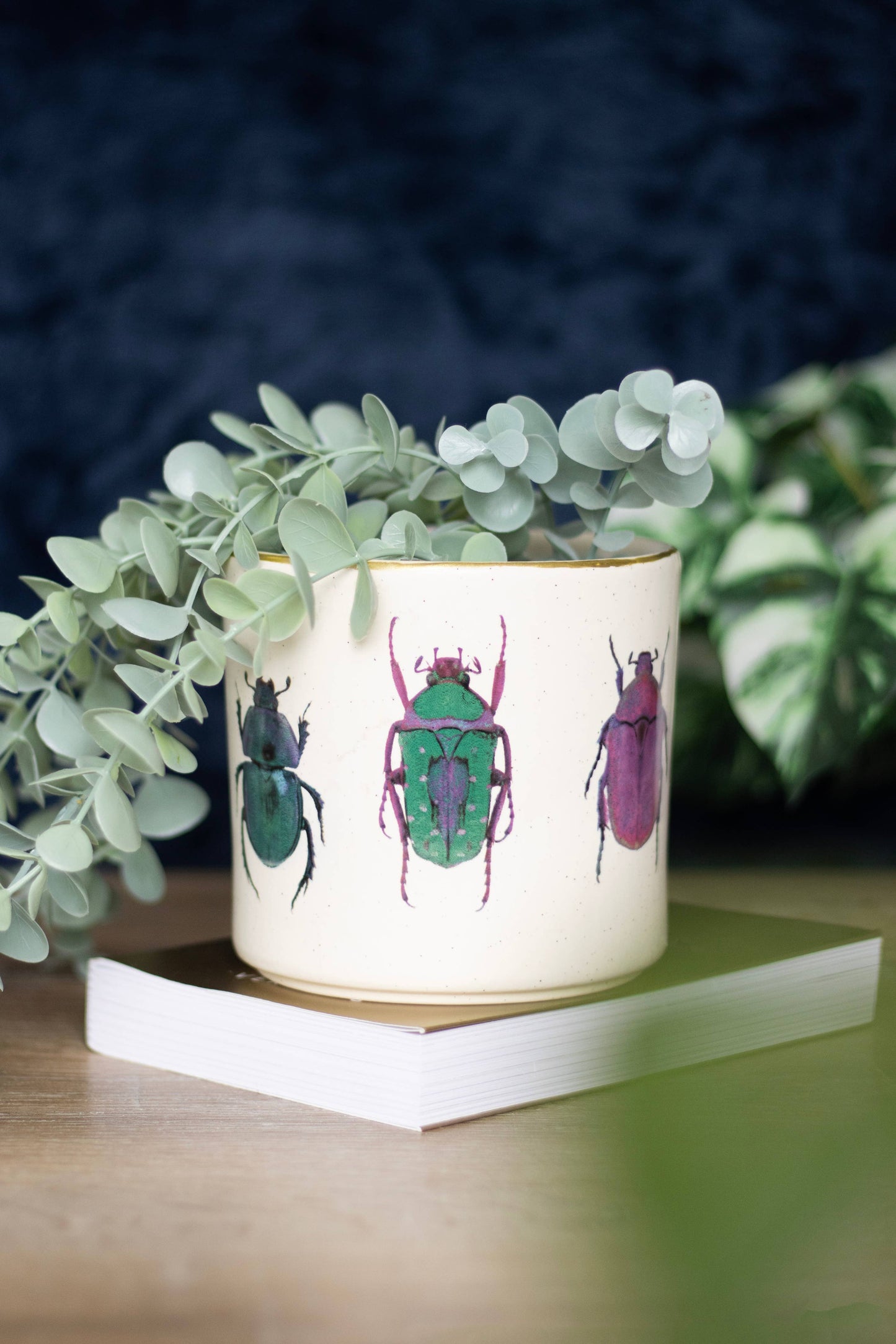 Off White Beetle Plant Pot