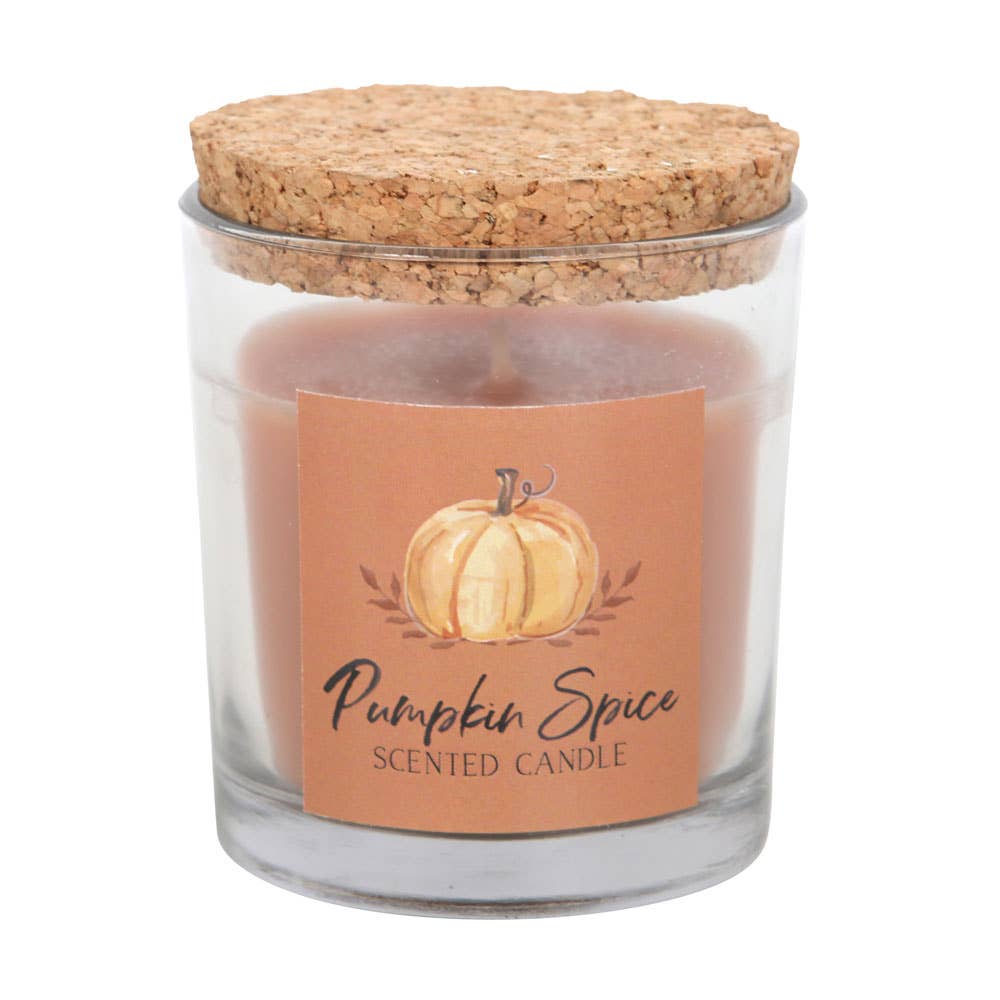 Fall Pumpkin Spice Autumn Candle