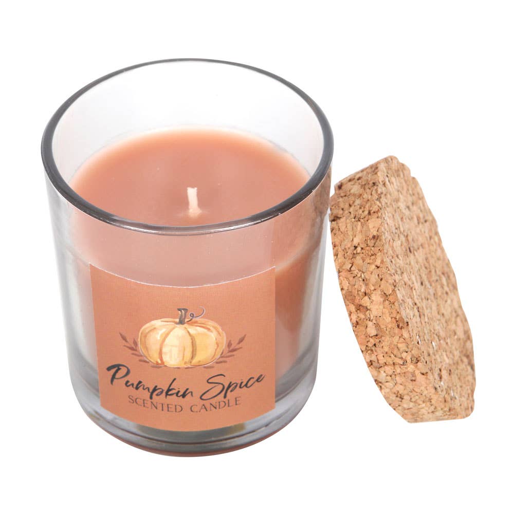 Fall Pumpkin Spice Autumn Candle